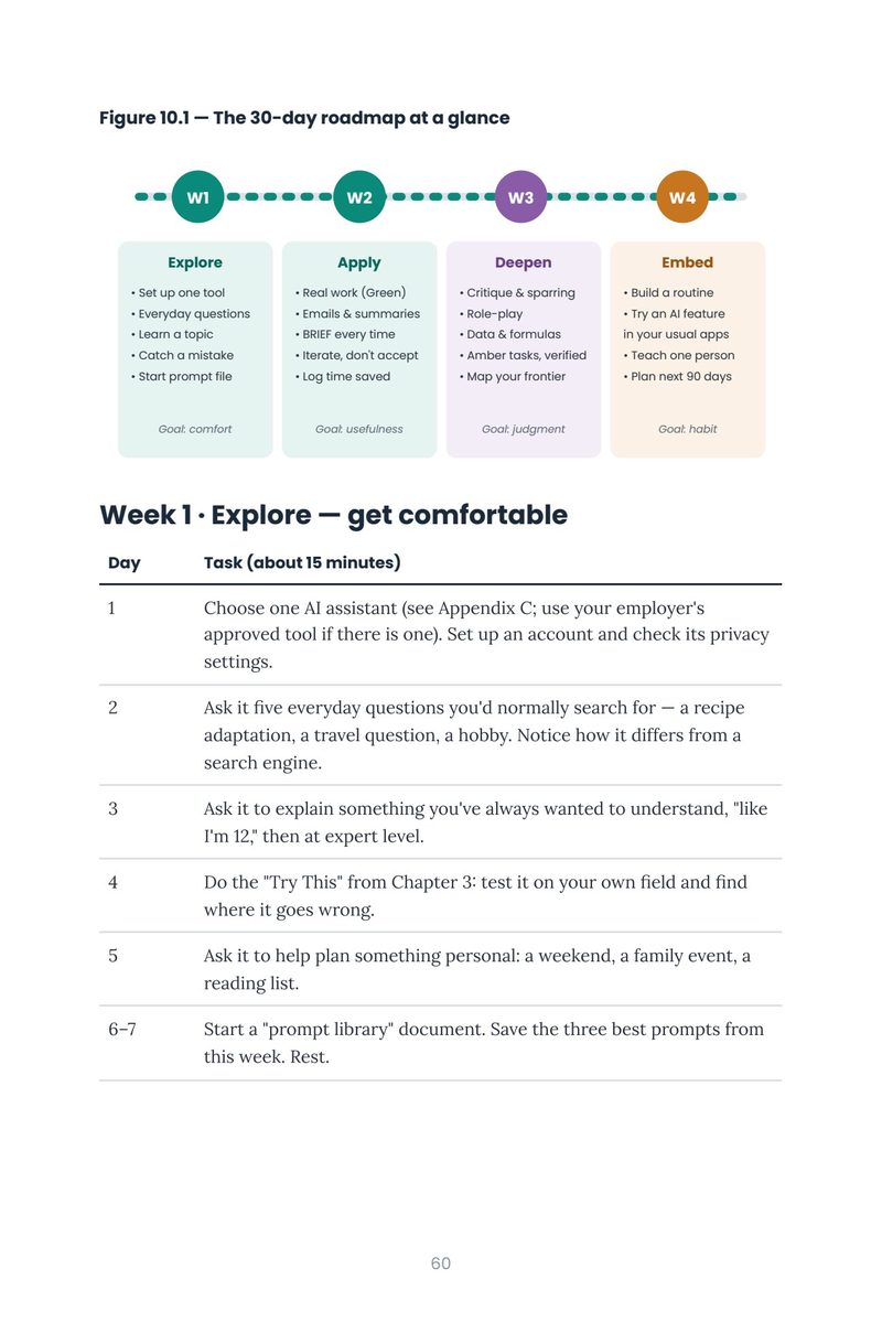 A page showing the 30-day AI starter plan roadmap